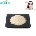 cosmetic raw material kojic acid powder