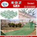 Protecting Vegetation Plastic Geomat to Fixed Water and Soil