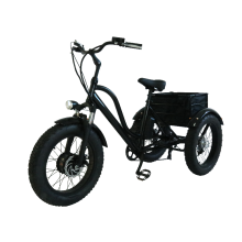 hall sensor rangka beltdrive electric tricycle