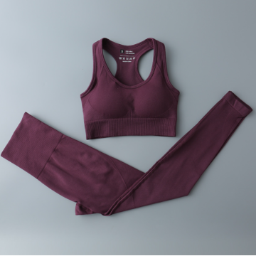 Women Yoga Set Workout Sportswear Gym Clothing