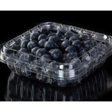 Transparent Blueberry Half Fold Packaging Box