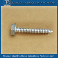 Ruspert Finished Ss304 Hex Flange Head Self Tapping Screws