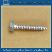 Ruspert Finished Ss304 Hex Flange Head Self Tapping Screws