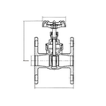 Brass Flanged Gate Valve