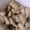 Top Quality of Air Dry Ginger