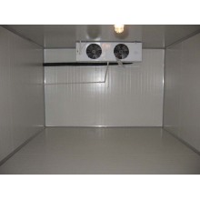 Cold Storage, Blast Freezer for Seafood / Vegetable / Fruit