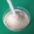 The Good Quality Fish Gelatin Powder Price(Pharmaceutical Grade )