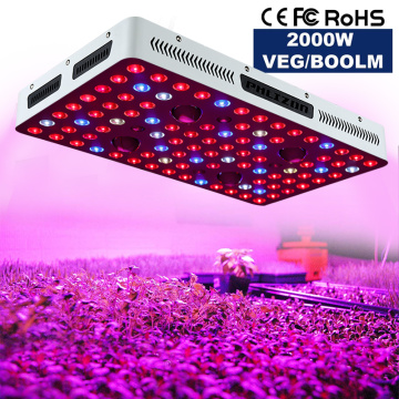 Grande promotion Phlizon 2000W COB Grow Light USA