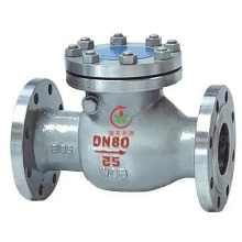 API Swing Check Valve, Various Sizes are Available