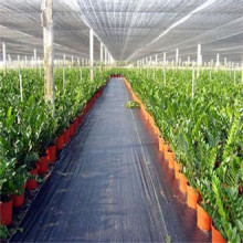 Best Selling and Cheap PP Woven Silt Fence/Agricultural Weed Mat /Landscape Fabric