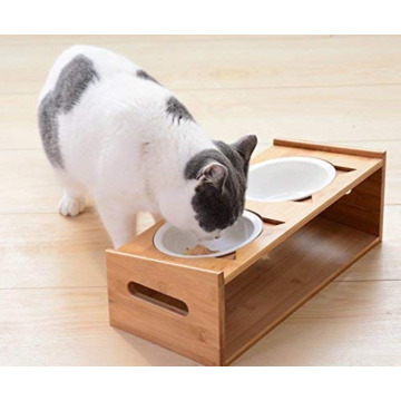 Pet Bowl With Feeding Platform