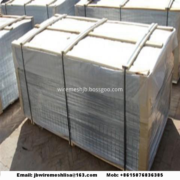 Hot-dip Galvanized Welded Wire Mesh Panel