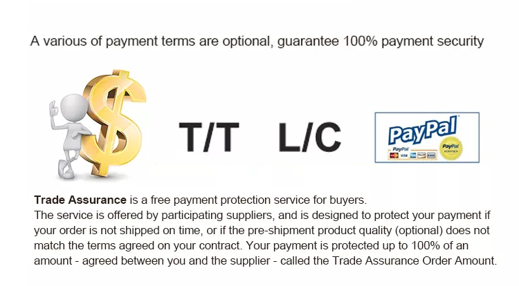 payment payment