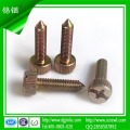 M5 Color Zinc Plating Cheese Head Screw for Installation