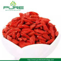 Sunshine Dried Goji Berry benefits for Promoting Blood