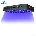 Alta Qualidade LED Aquarium Lighting Fish Tank Light