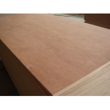 Professional Top Quality Commercial Plywood Used for Furnitu with Ce Certificate