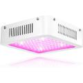 Las luces de cultivo led para amazon