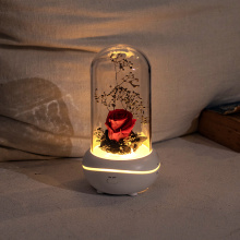 Lampe à parfum portable arôme cristal diffuseur sans eau