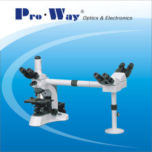 Microscope biologique multi-visualisation professionnel avec trois têtes de visualisation (N-PW306)