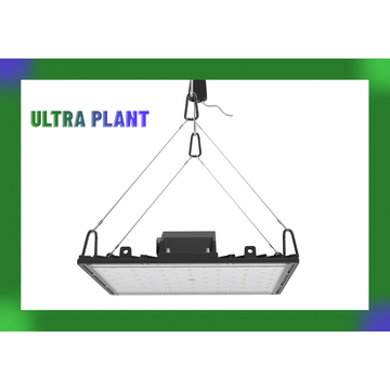 Full Spectrum Growing Lamp for Herb