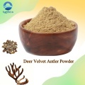 100% Pure Natural Deer Antler Velvet Extract Powder