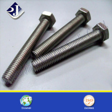 Made in China Stainless Steel Hexagonal Bolt