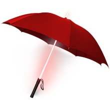 Transparent Frame LED Umbrella (BD-07)