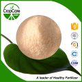 100% Water Soluble Fertilizer NPK 19-19-19+Te NPK Compound Fertilizer