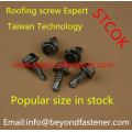 Roofing Screw Xylan T17 Cutting Point Moon Cut