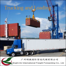 Logistikdienstleister Ocean Shipping Company Contanier Von China nach Weltweit