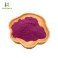 Чистый натуральный высококачественный сушеный пурпурный порошок капусты