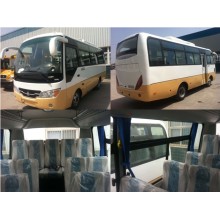 Sinotruk HOWO Diesel Tourist Bus avec Gcc et 53 sièges