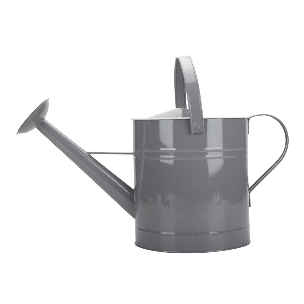 Minecraft Watering Can