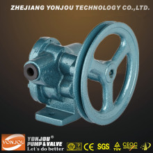 Bp Light Belt Pully Gear Pump