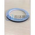 Ptfe Evenlope Gasket Anti Corrosion for sealing