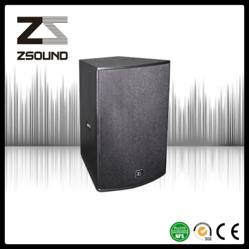 Single 15" Loudspeaker Audio System