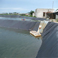 40mils Pond Liner HDPE Plastic Geomembrane Sheet