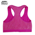 Fitness en gros Hauts Soutien-gorge sans couture pour jeunes femmes