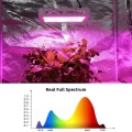 Led Plant Grow Light 1000W