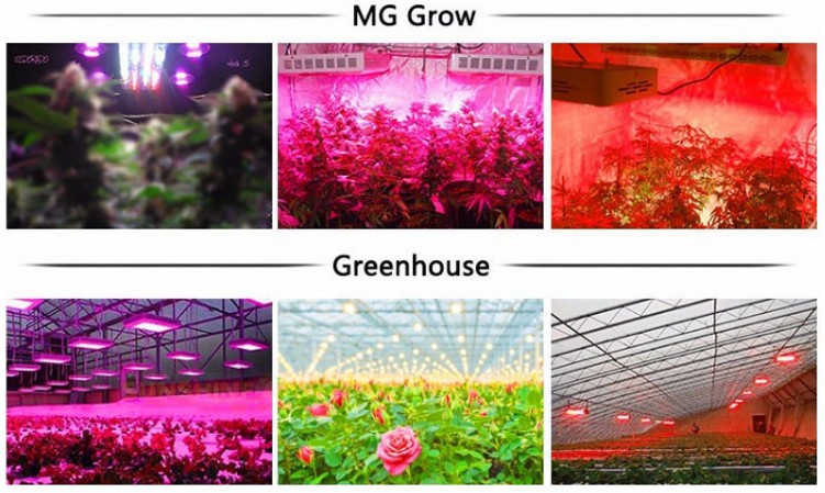 Lens LED Grow Light