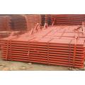 epoxy plastic coated scaffolding steel pipe