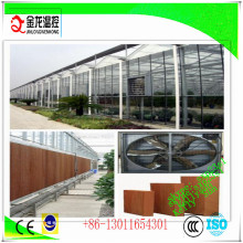 Ventilation &Cooling System for Poultry