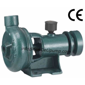 Cheaper Price Cast Iron Marine Pump China