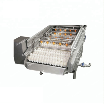 Brush type washing machinery for Pineapple