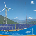 DELIGHT Wind Solar Battery Power System