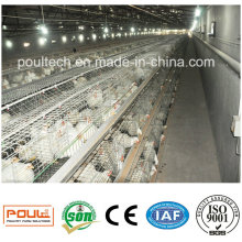 Best Price Durable Chicken Cages