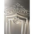 Hot Sale Stamped Steel Door Skin for Europe Market (RA-C052)