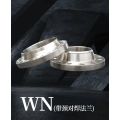 Stainless Steel Welded Pipe Fitting WN Flange