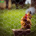 Hexagonal+Wire+Mesh+Chicken+Netting